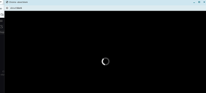 Screenshot 2025-05-22 12.49.17 PM