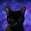 Luckythespacecat