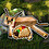 Taco2009
